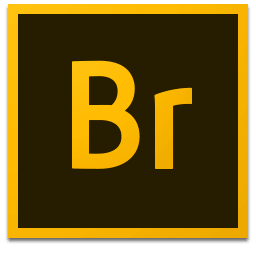 图形开发Adobe Bridge 2022 v12.0.3 macOS MacOSX英文安装版软件