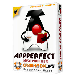 编程开发AppPerfect Java Profiler 14.5.0.20150602-4143 x64 Win64英文安装版软件